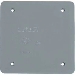 Budget 👍 Carlon 2-Gang Blank 4 In. X 4 In. Square Blank Cover 😍