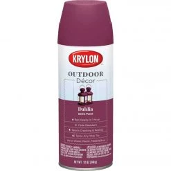 Buy 🔥 Krylon Outdoor Decor 12 Oz Satin Alkyd Spray Paint, Dahlia 🤩